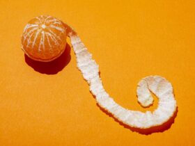 What Happens to Your Gut Health and Nutrition When You Eat More Orange Peel