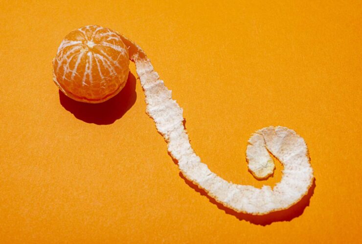 What Happens to Your Gut Health and Nutrition When You Eat More Orange Peel