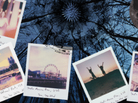 Collage of polaroid images on a backdrop of a winter night during the new Moon in Sagittarius December 2025