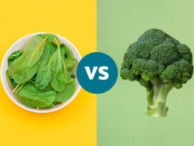 Which Green Is Better for Immunity and More?