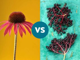 Which Is Better for Cold Prevention?