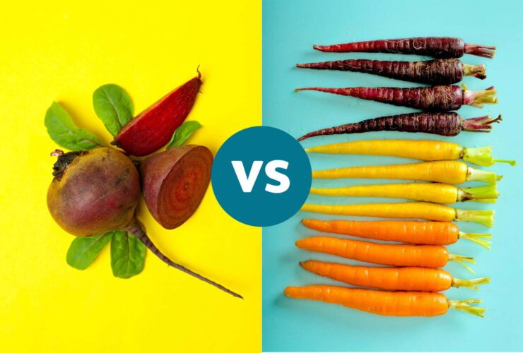 Which Root Vegetable Packs More Vitamins, Antioxidants, and Fiber?