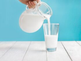 3 Healthiest Milk Alternatives With the Most Protein and Calcium