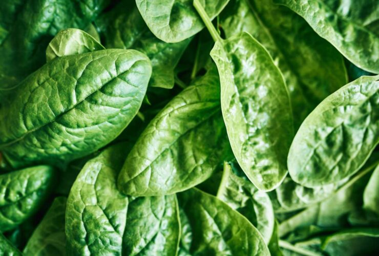 7 Iron-Rich Foods to Eat Instead of Taking a Supplement
