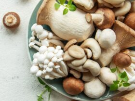 Are mushrooms good for you?