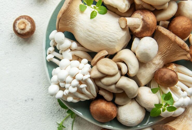 Are mushrooms good for you?