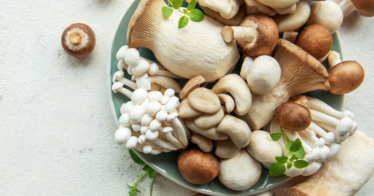 Are mushrooms good for you?
