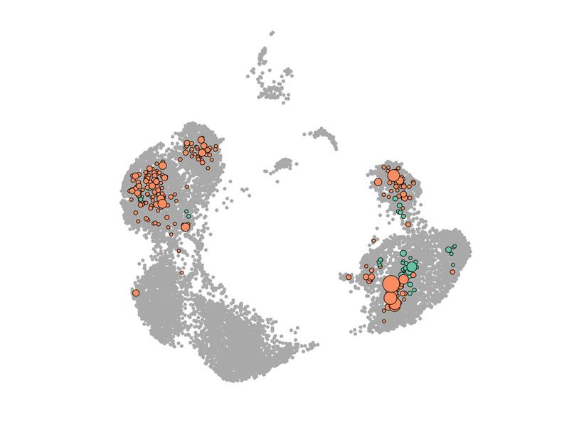 B cells drive CD4 T cell immunosenescence and age-associated health decline | Science Immunology