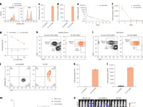 BCMA-directed mRNA CAR-T cell therapy for myasthenia gravis: exploratory biomarker analysis of a placebo-controlled phase 2b trial