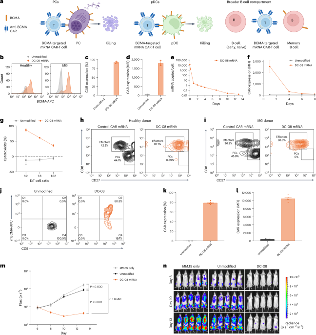 BCMA-directed mRNA CAR-T cell therapy for myasthenia gravis: exploratory biomarker analysis of a placebo-controlled phase 2b trial