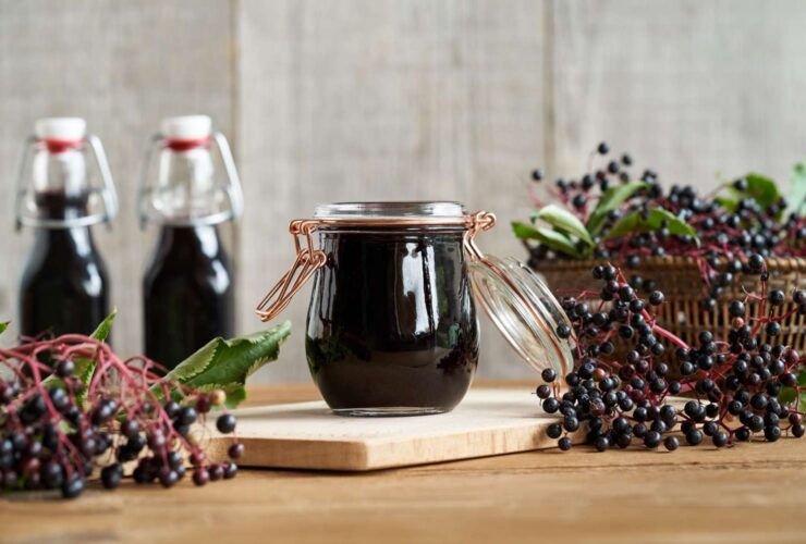 Best Time to Take Elderberry for Immune Support