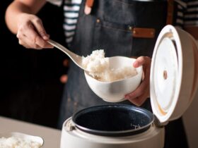 Best rice cookers to buy in 2026, tested and reviewed