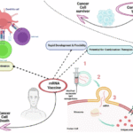 Breaking barriers in prostate cancer: the mRNA vaccine breakthrough and what comes next
