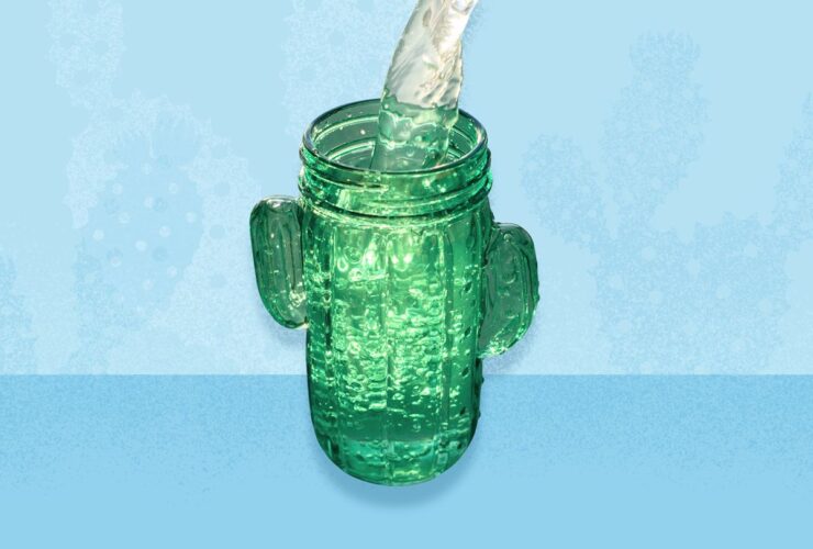 Cactus Water Benefits: What You Need to Know About This Hydration Trend