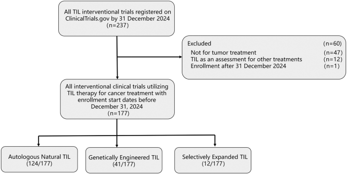 Characteristics and developmental trajectory of clinical trials focused on tumor-infiltrating lymphocytes for cancer treatment