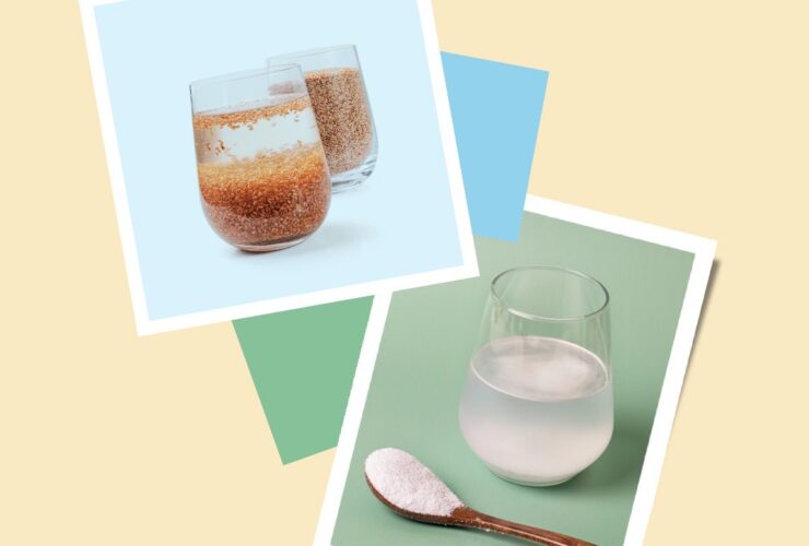 Psyllium vs. Dextrin: Which Is the Better Fiber Supplement?
