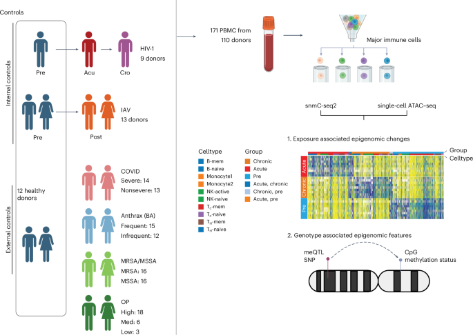 Genetics and environment distinctively shape the human immune cell epigenome