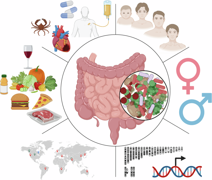 Gut dysbiosis in oncology: a risk factor for immunoresistance