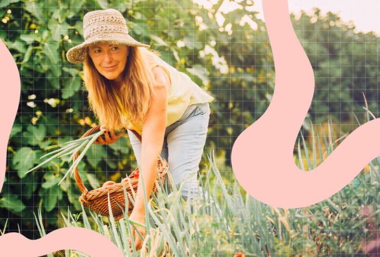 Health Benefits of Onions and How to Store Them