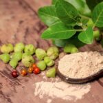 How Long Does Ashwagandha Stay in Your Body?