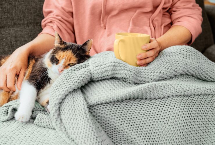 Gained Weight Over the Holidays? Here’s What to Do About It