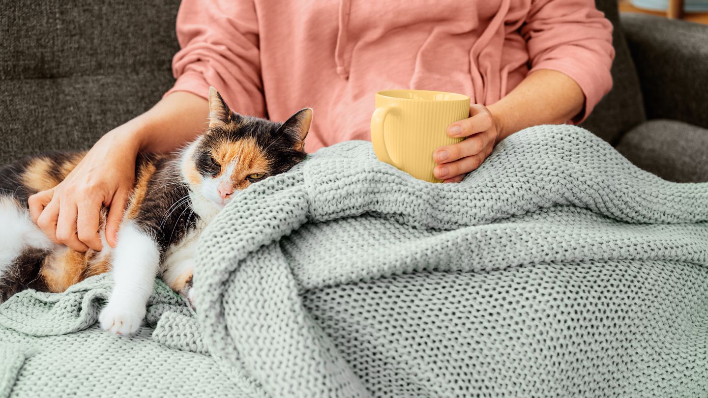 Gained Weight Over the Holidays? Here’s What to Do About It