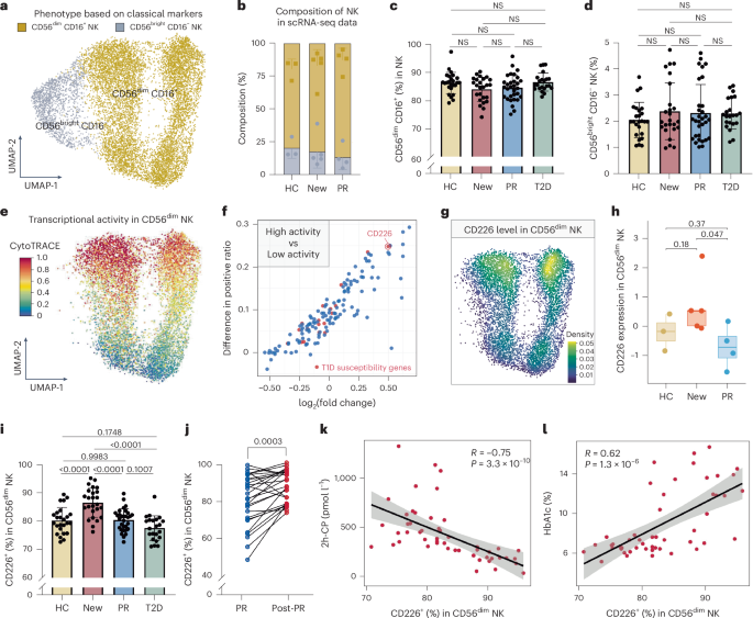 IL-21 mediates crosstalk between T cells and NK cells during the remission of type 1 diabetes