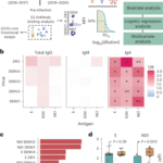 IgA-driven neutrophil activation underlies severe dengue disease after primary Zika virus infection in humans