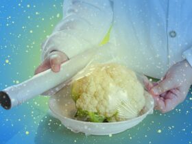 Is It Safe to Microwave Plastic Wrap? Experts Explain