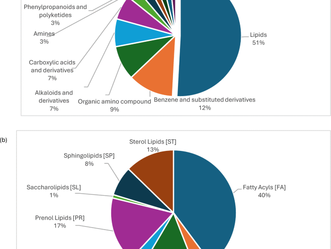 Metabolomic profiling reveals alterations in Candida pathophysiology and host interactions during primary oral candidiasis and following antifungal treatment