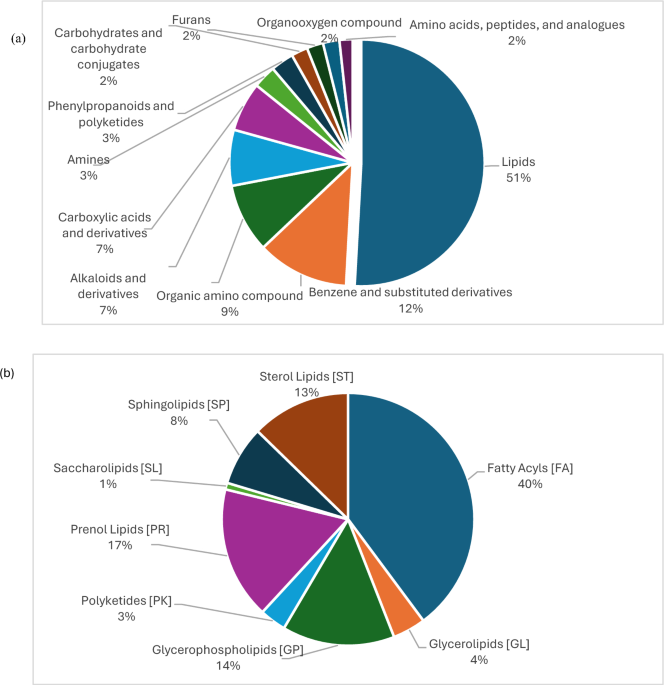 Metabolomic profiling reveals alterations in Candida pathophysiology and host interactions during primary oral candidiasis and following antifungal treatment