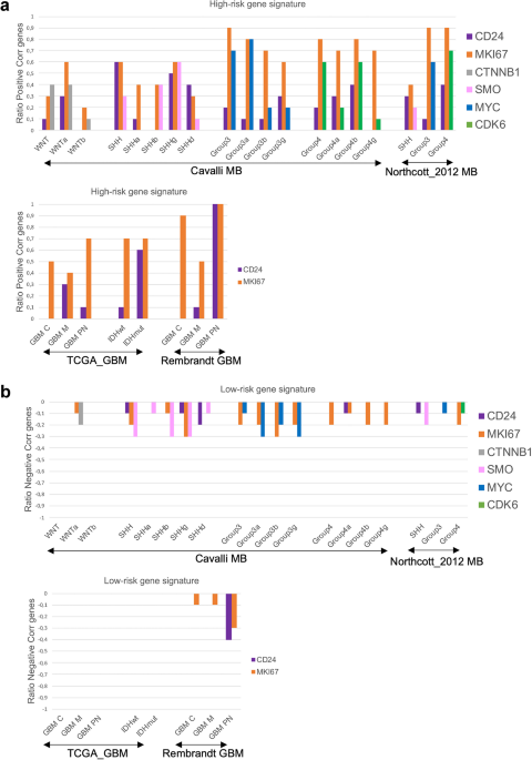 Mitoxantrone alters CD24/Siglec-10 expression in malignant brain tumor models