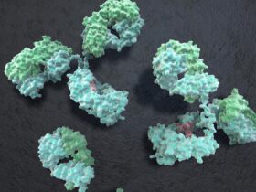 Pathogenic IgE-fated memory B cell responses retain functional plasticity | Science Immunology