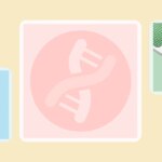 What Causes Psoriasis?