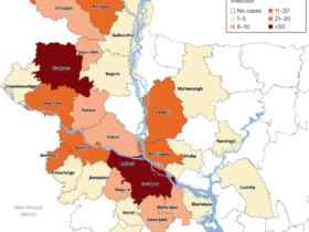 Research and development priorities for Nipah virus outbreak preparedness