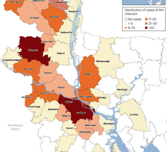Research and development priorities for Nipah virus outbreak preparedness