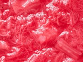 Rhubarb compote | Good Food