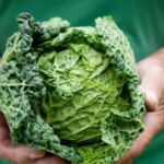 3 Reasons Cabbage Can Cause Stomach Pain