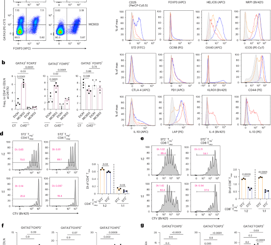TSLP promotes GATA3-expressing effector regulatory T cells via DC2 derived from transitional DCs