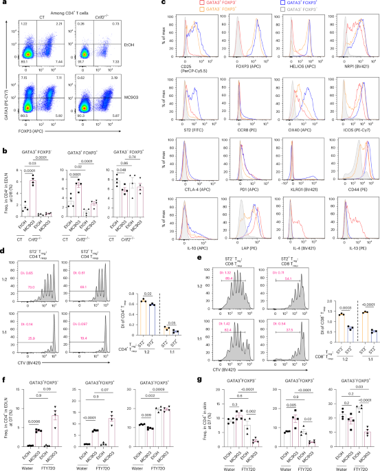 TSLP promotes GATA3-expressing effector regulatory T cells via DC2 derived from transitional DCs
