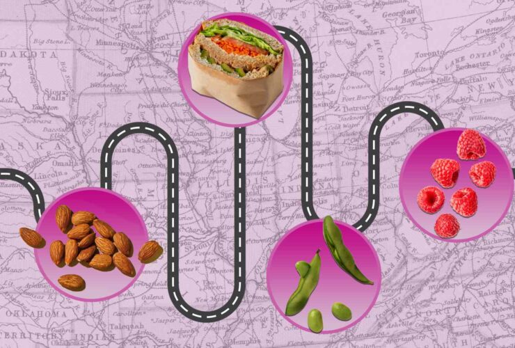 The #1 Nutrient to Prioritize When You Travel