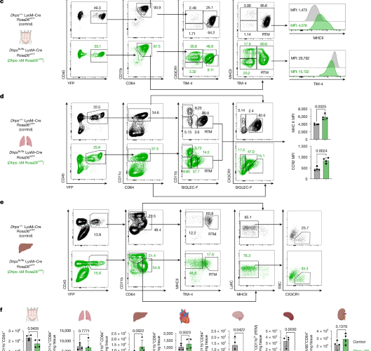 The transition from monocyte to tissue-resident macrophage requires DHPS