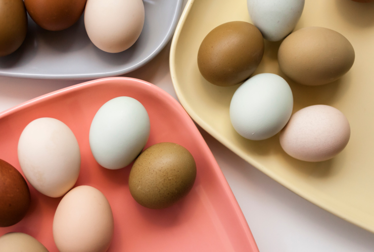 This Common Breakfast Food May Lower Alzheimer's Risk, Study Finds