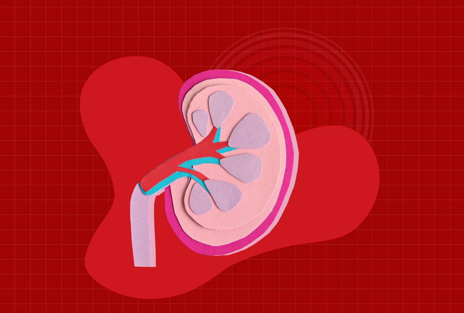 This Common Habit May Be Straining Your Kidneys