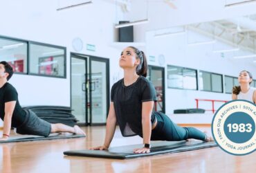 Three yogis in Upward Facing Dog