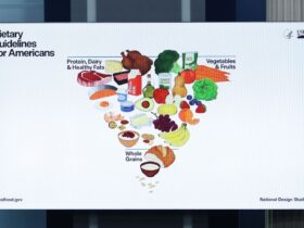 We Asked a Dietitian What the New Food Pyramid Gets Right and Wrong