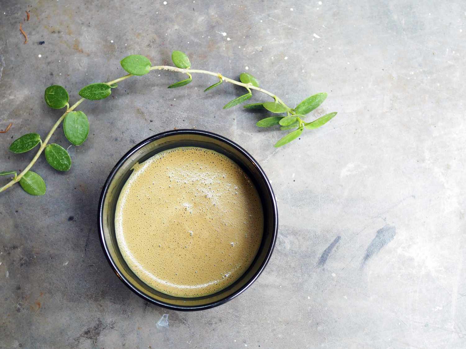 What Happens to Your Body When You Drink Hojicha Regularly