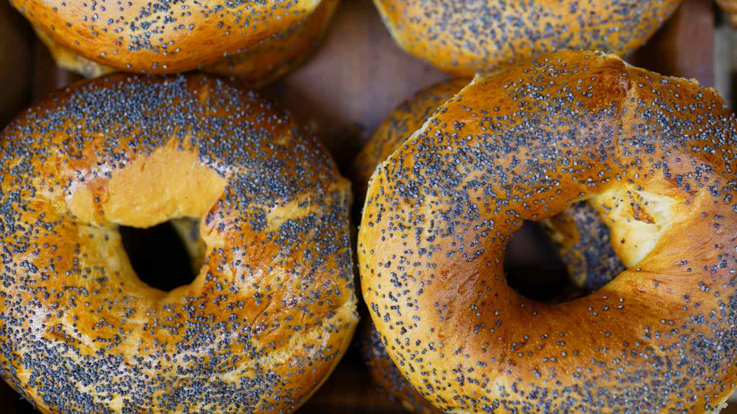 What Happens to Your Body When You Eat Poppy Seeds Regularly