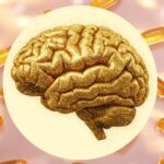 What Happens to Your Brain When You Take an Omega-3s