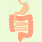 What Your Farts Can Tell You About Your Gut Health